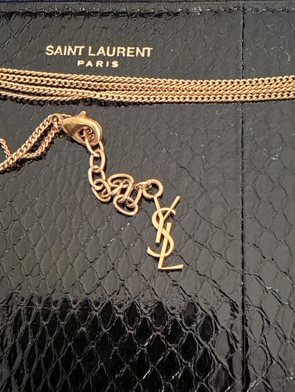 Saint Laurent Black Snake-Embossed Leather Chain Pouch with Gold Hardware - Picture 5 of 10